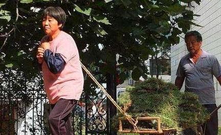 长寿|人过了50岁,四种苦尽量多吃点,少吃两种苦,助你健康长寿