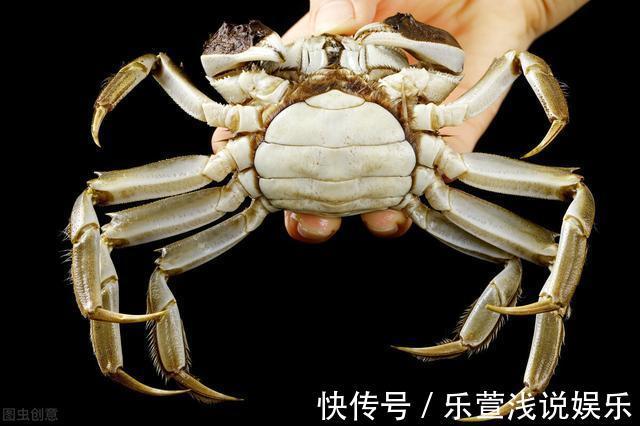 热水|蒸螃蟹时,是冷水上锅还热水上锅,第一步就错了,难怪蟹黄流出