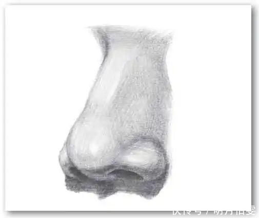 素描鼻子结构图解