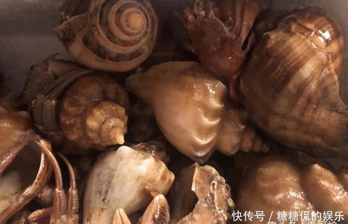 误认为是“大海螺”,花250块钱买6斤,回家上锅一蒸,太惊喜了