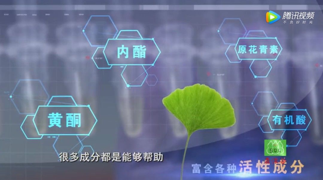 血管内皮|“植物活化石”是如何成为心血管的“清道夫”的？这是大自然独一无二的馈赠