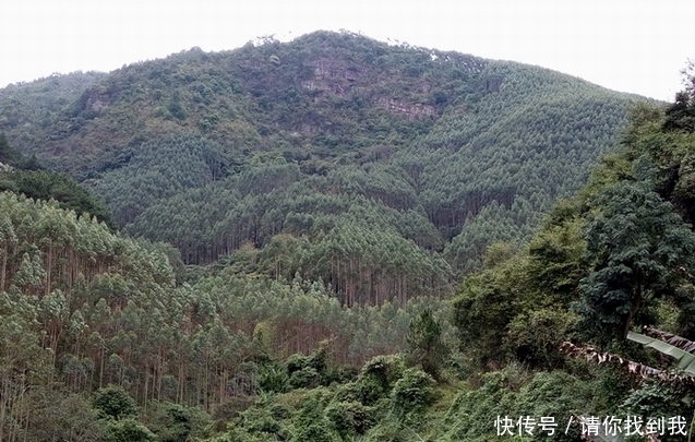 形峦堪舆知识，五星峰具体特征分析