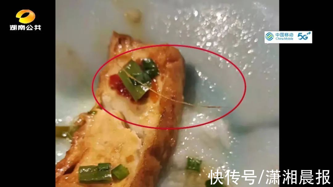 豆腐|7个菜2个有问题，吃出塑料、虾须，长沙这家网红餐厅你去过吗？