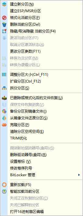 磁盘管理工具 DiskGenius Pro 简体中文/单文件/专业版
