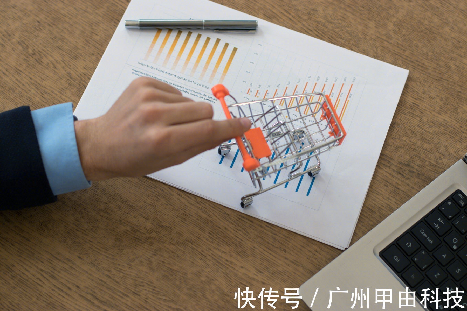 招商费|电商app促进社会经济发展