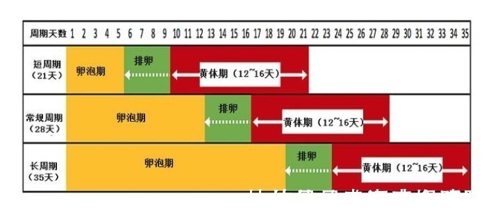 宝宝|同学聚会高兴多喝了几杯,隔了1周发现自己怀孕了,宝宝能要吗