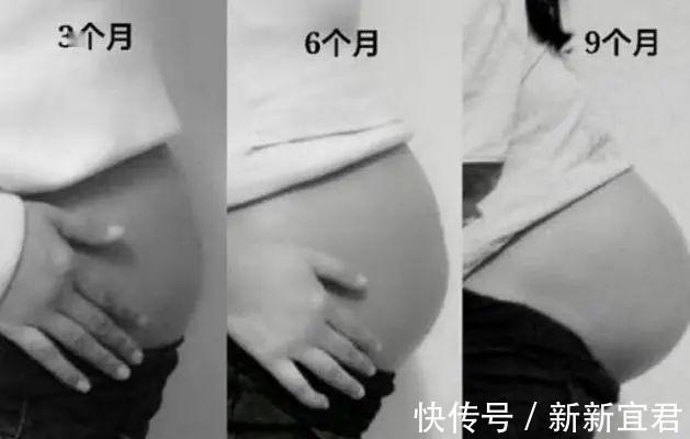准妈妈|3个月，6个月，9个月，孕期这三个阶段有什么不同
