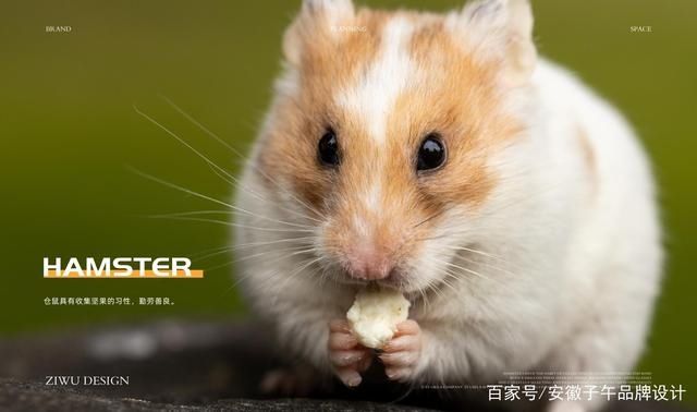 敛客|精准敛获，不负等待