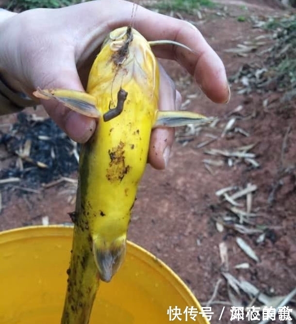 为啥我这么喜欢钓鱼不为别的,因为钓鱼是全世界最公平的活动