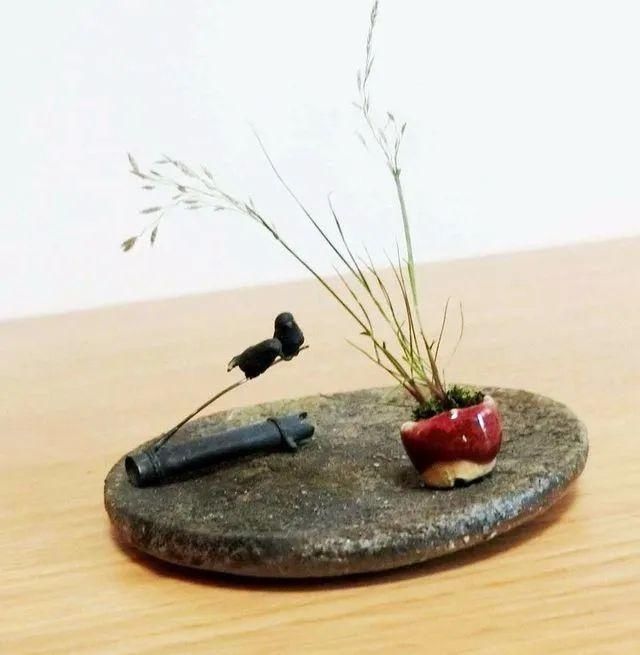 山野草，也高雅！