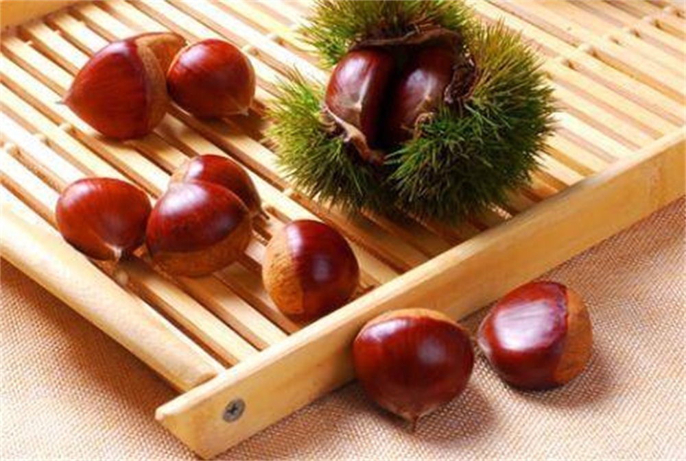 板栗泡酒用什么酒好,板栗酒详细做法