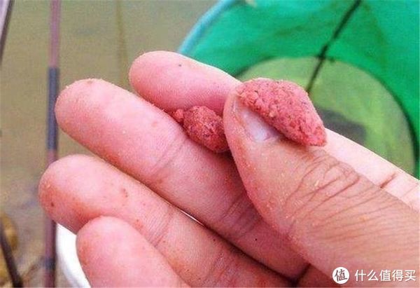 鱼种|小鸡饲料钓鱼时效果显著，合理选用是关键所在，掌握好了渔获不愁