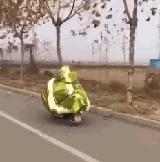 |搞笑GIF:别装了 我知道你就是故意的