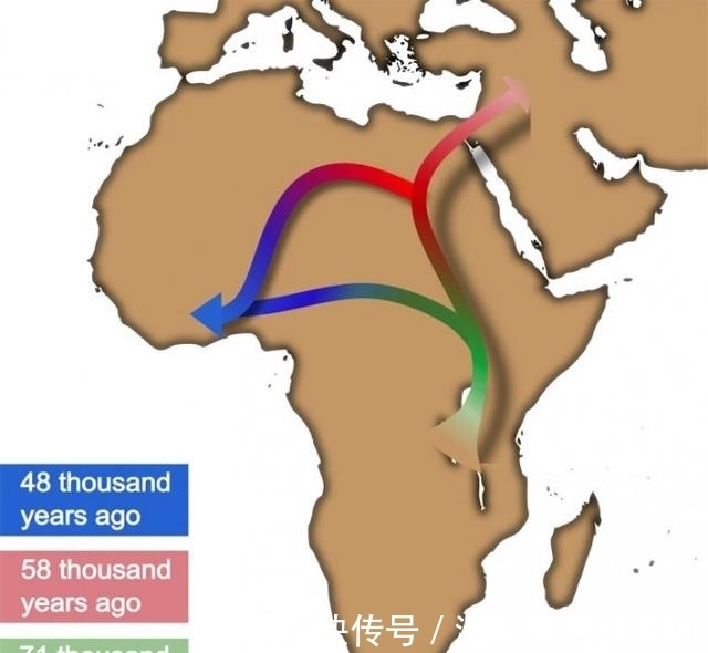 一事件|重新审视''走出非洲''理论：来自遗传分析和人工智能的新叙述
