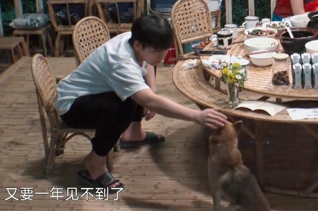 泪目《向往的生活》完美收官,彭彭一句话暗示节目第5季命运