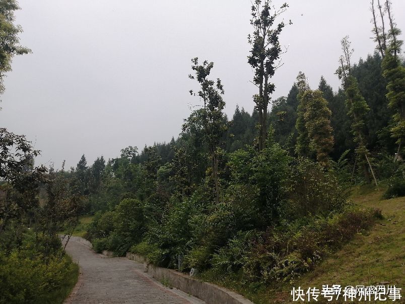 蓬安|逛游百牛赞歌广场，这里风景独好