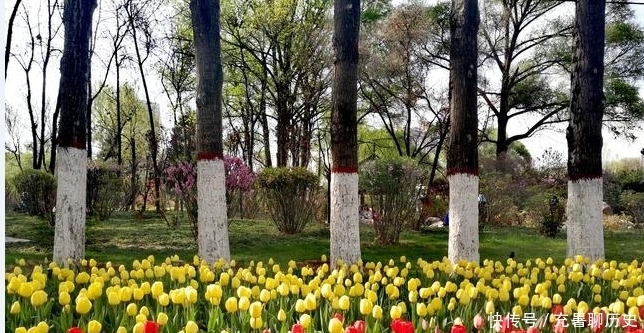 她是西宁最大最美的公园，已有60年历史，至今仍受游人热捧