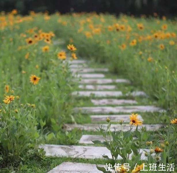 微微一笑!但行好事,莫问前程~经历过四朝十帝的冯道,和他的两首名诗欣赏