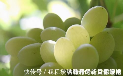 化合物質|長壽老人告訴你，女性常吃3種食物，排毒清腸，早吃早受益
