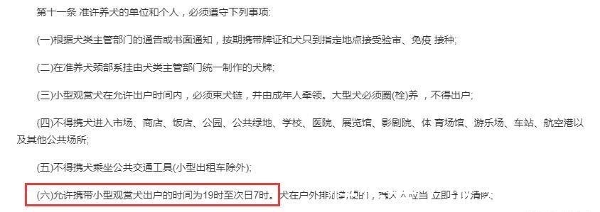 |搞笑变成闹笑话！贾乃亮晒搞笑视频被指违规遛狗，城管回应罚200