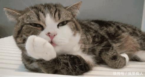 寝不横尸,卧不覆首,利用睡觉潜规则睡出好气