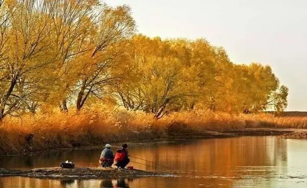 冬天手竿钓鲫鱼的4个基本技巧,只有老钓鱼人才知道!