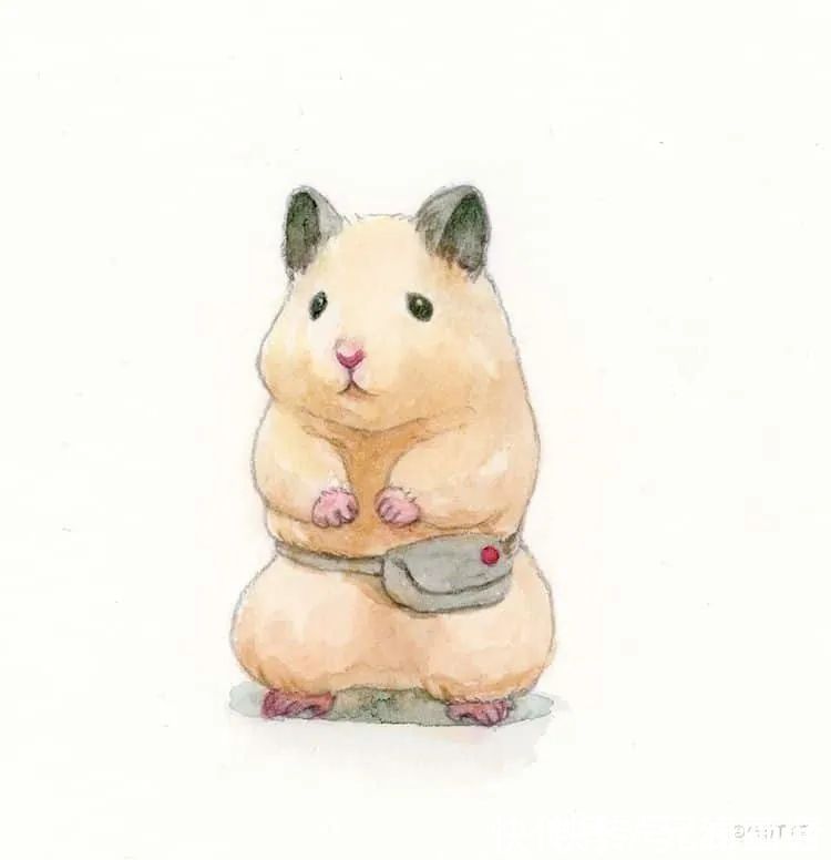 小仓鼠&他的插画主角是一只仓鼠,可爱的举动,萌到心都化了