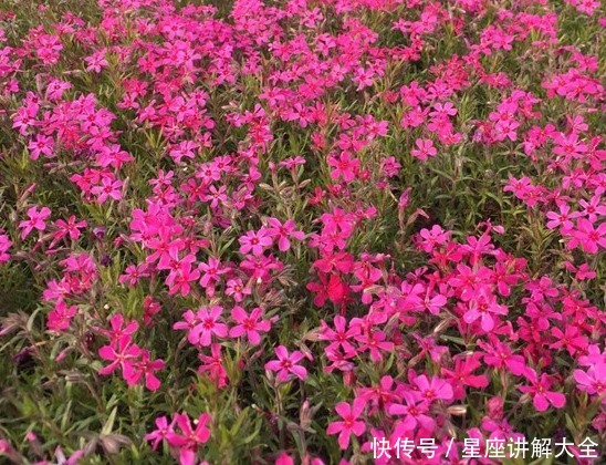 【草丁图书馆】3月下旬开始,4属相喜事临门,接财接福接桃花,生活锦上添花
