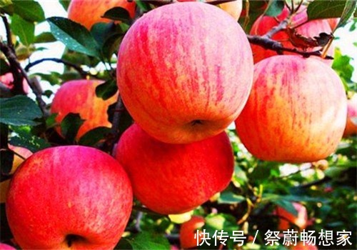 生菜|女性想要身体好,多吃4种食物,排出湿气、润肠通便,帮助消水肿