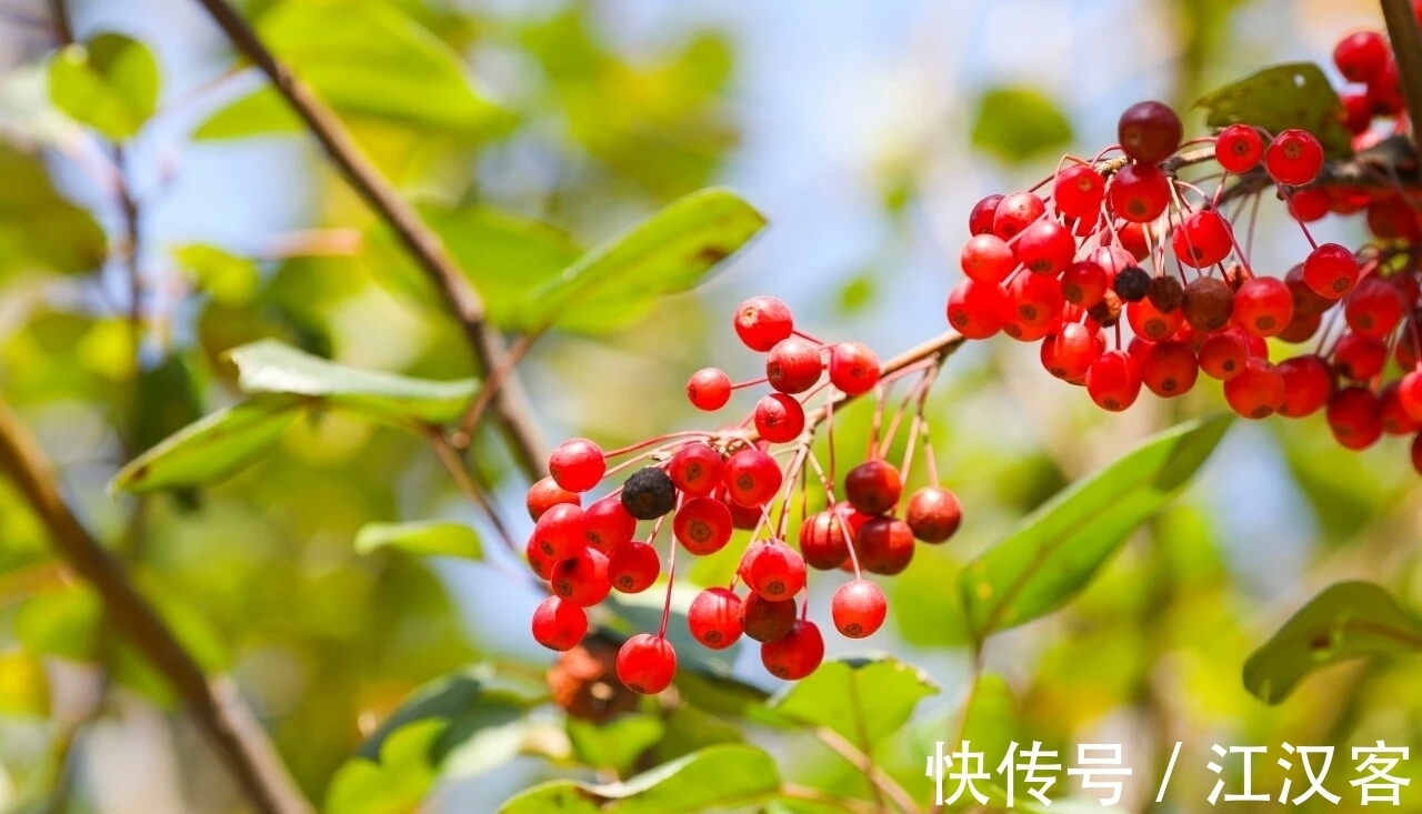 王维|九首情谊古诗词:青山空向一帆远,汀州落日五湖春