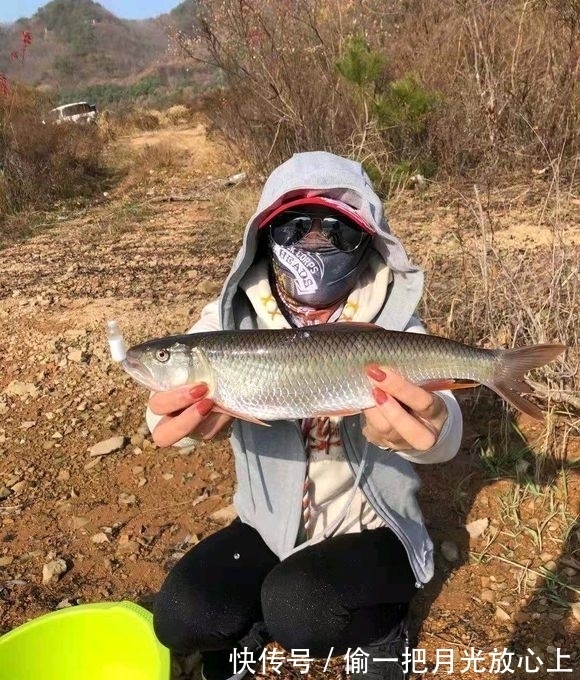 放生|河南钓鱼人钓获罕见“巨型马口鱼”,体长近50公分,随后放生