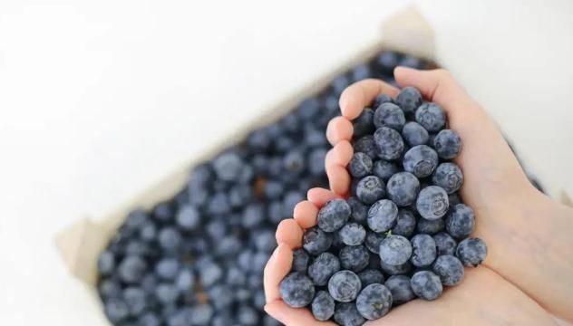 眼睛|5种眼睛“最爱”的食物！牢记3字巧护眼，爱玩手机的人一定要看