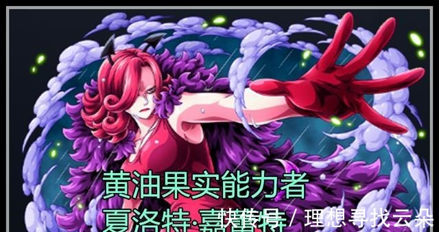 海贼团|海贼王凯多为儿子大和找相亲对象，斯慕吉和康珀特有机会被选中