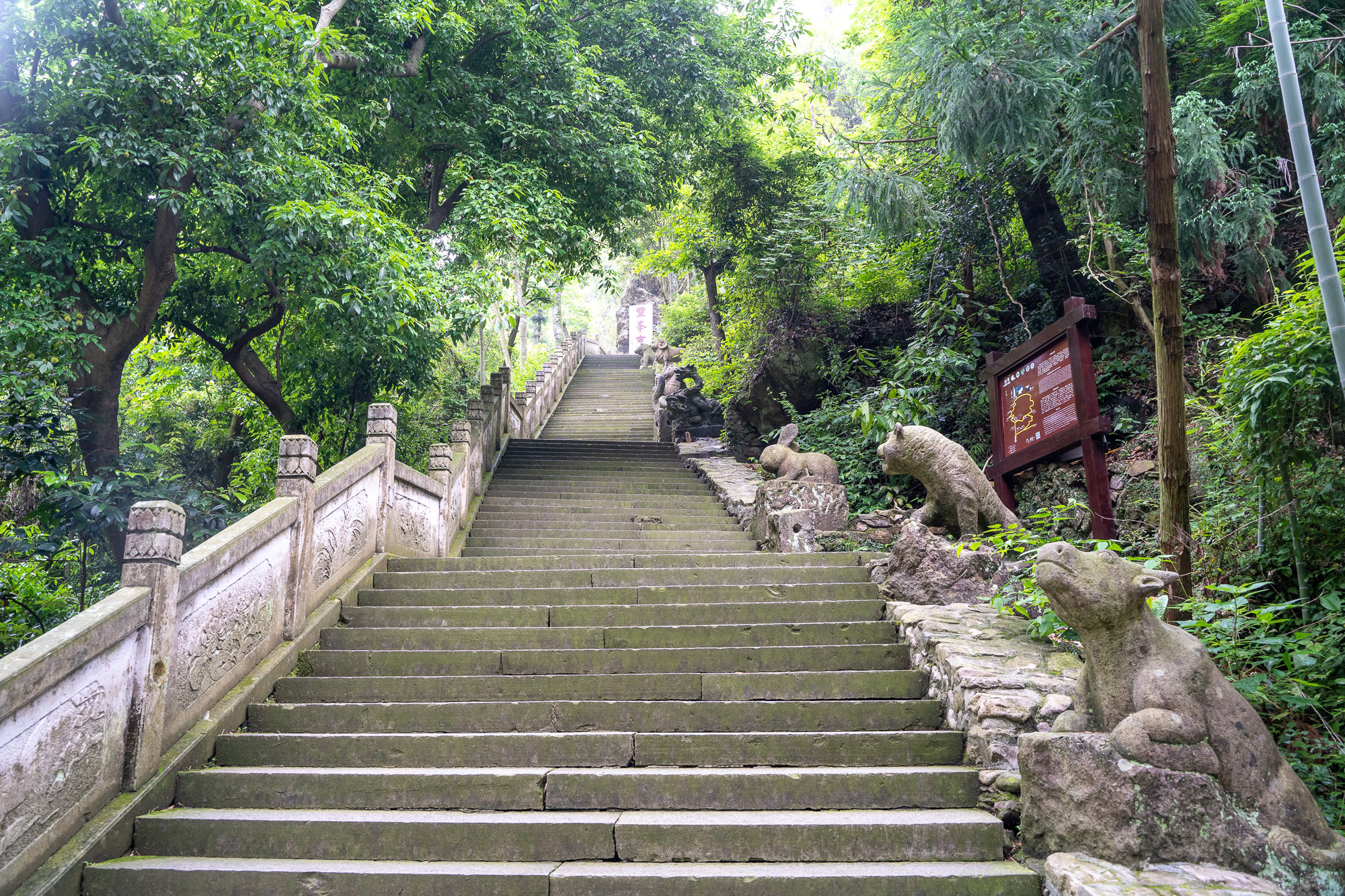 山峰|神奇梦幻的雁荡山灵峰，白天夜晚来两次，日景耐看，夜景销魂