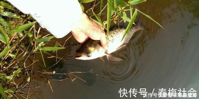 全国禁渔期陆续开始了,垂钓需规范,做到“该放就放,该狠就狠”