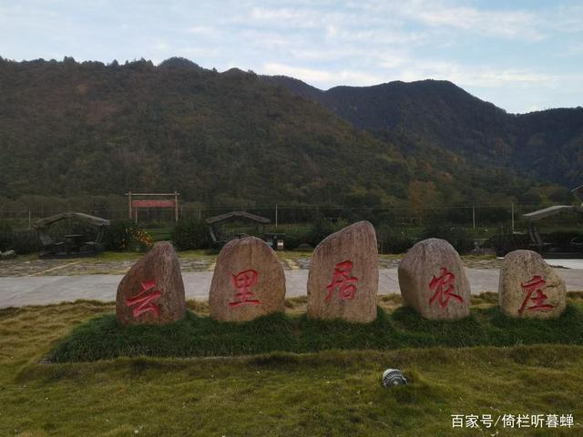 《七绝.初冬印象》霜染苍茫已入冬,枝条飞叶落无穷