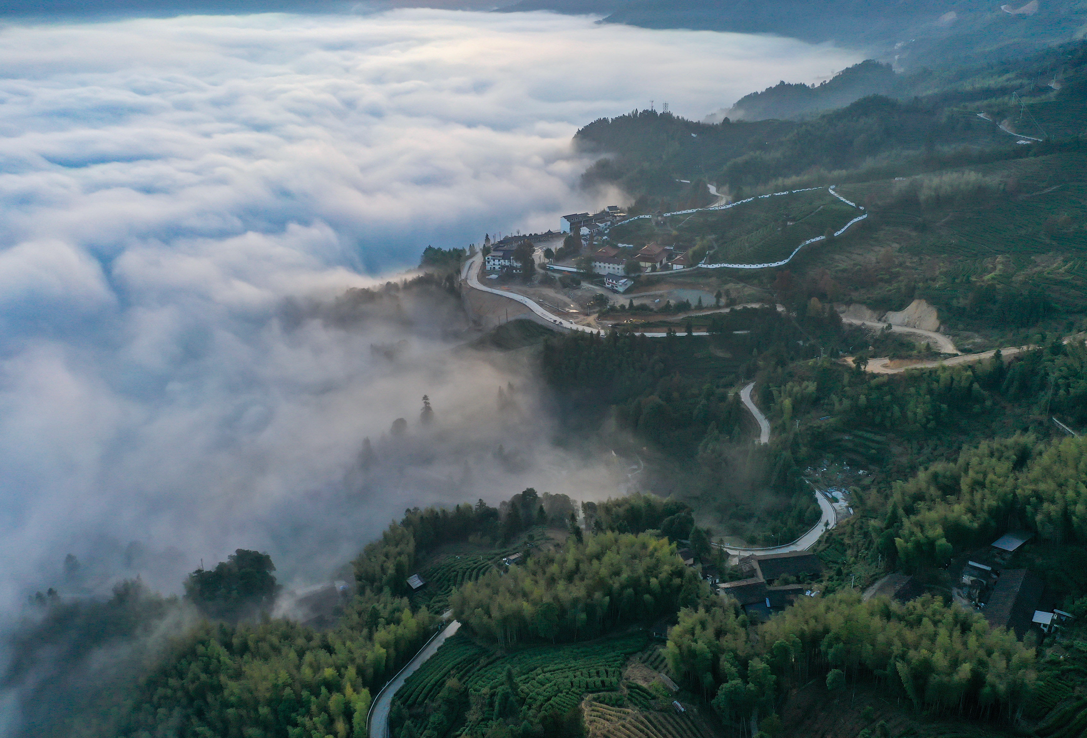 美景|畲乡景宁云海翻涌似仙境秋色美景入画来