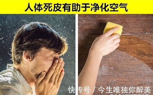 左撇子|即便“博学多识”的真学霸，也未必能知道的10个罕见事实