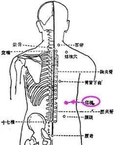  牢记全身疾病特效穴，专穴专用！