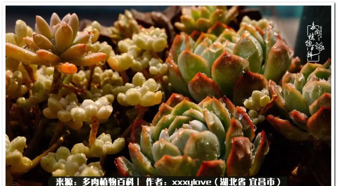 时光匆匆,一闪而逝,这世间万物的美,都值得被记录!