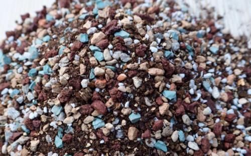 事项|新手养多肉有哪些注意事项?我总结了5点,掌握好就能养好多肉了