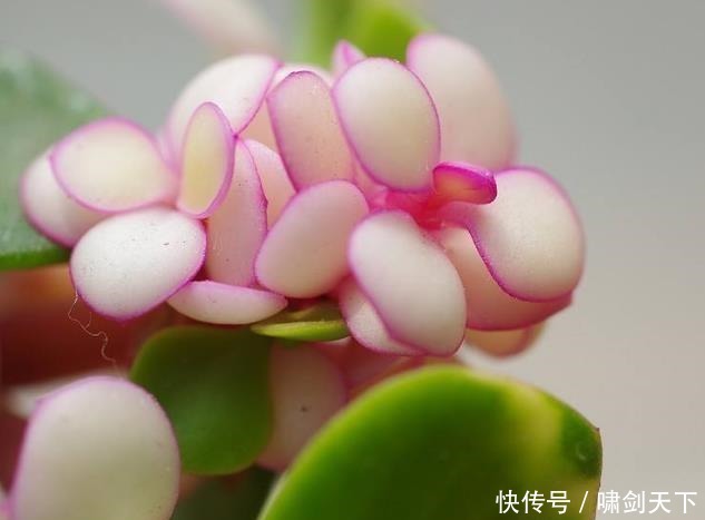 轻易|做人,别轻易把自己的这三个“死穴”暴露给别人