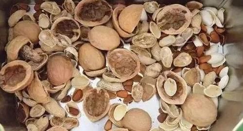 这些垃圾废料拿来养花,你以为是“青铜”,结果全是“王者”