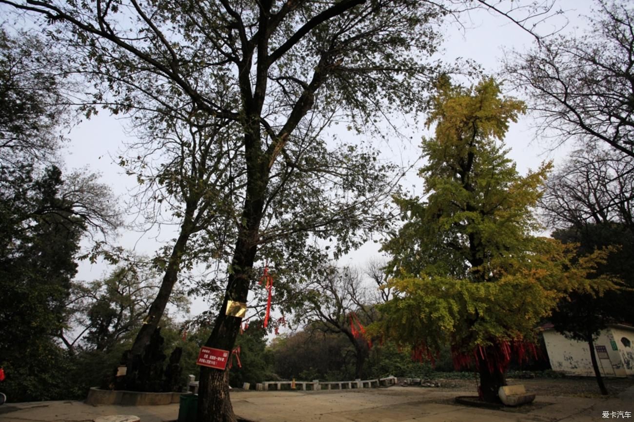 镇平菩提寺