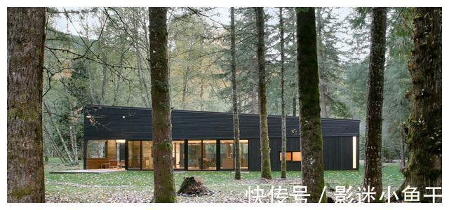 麋鹿群|自建林中四合院别墅,就地取材外观虽然简陋,入户就装修迷住了!