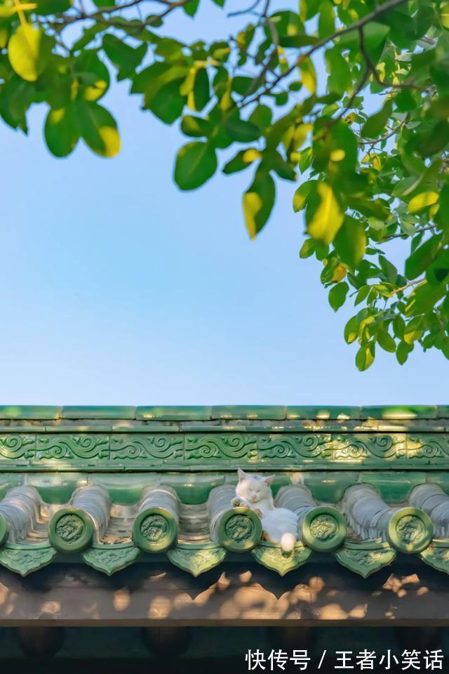 |「被窝段子0925」发脾气 只表示您的智慧不足以解决您所面临的问题