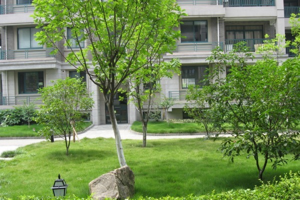 房价|楼市或将迎来“2大反转”,房价这次要跌多少购房者迎来好消息