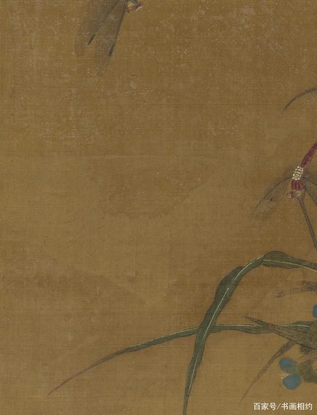 写生花卉册!赏画|王渊《写生花卉册》之鸭跖草