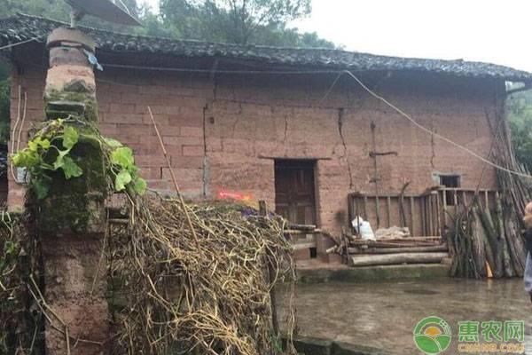 农村宅基地管理办法|农村户口没有宅基地怎么办申请宅基地需要满足什么条件