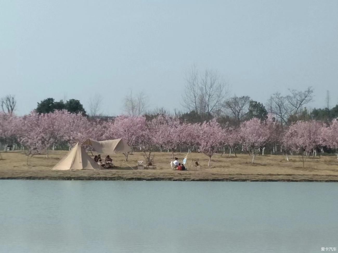 春天来时，身心都要远行